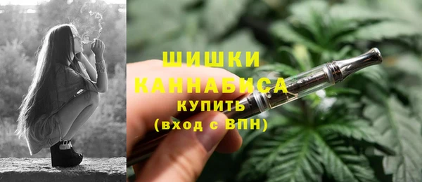 стаф Киренск