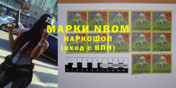 стаф Киренск