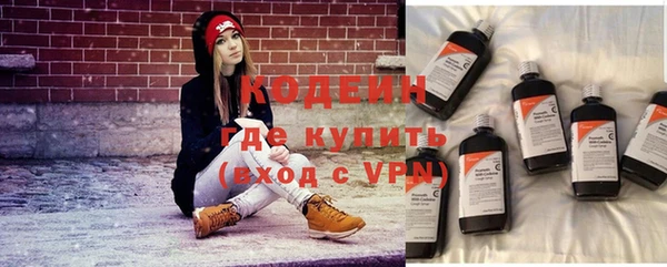 молекула духа Карпинск