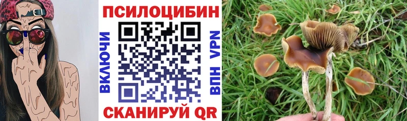 Купить где  Томари  Псилоцибиновые грибы мухоморы 